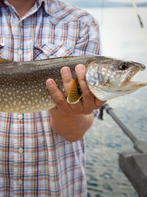 Club Tadoussac / Auberte la Tanière